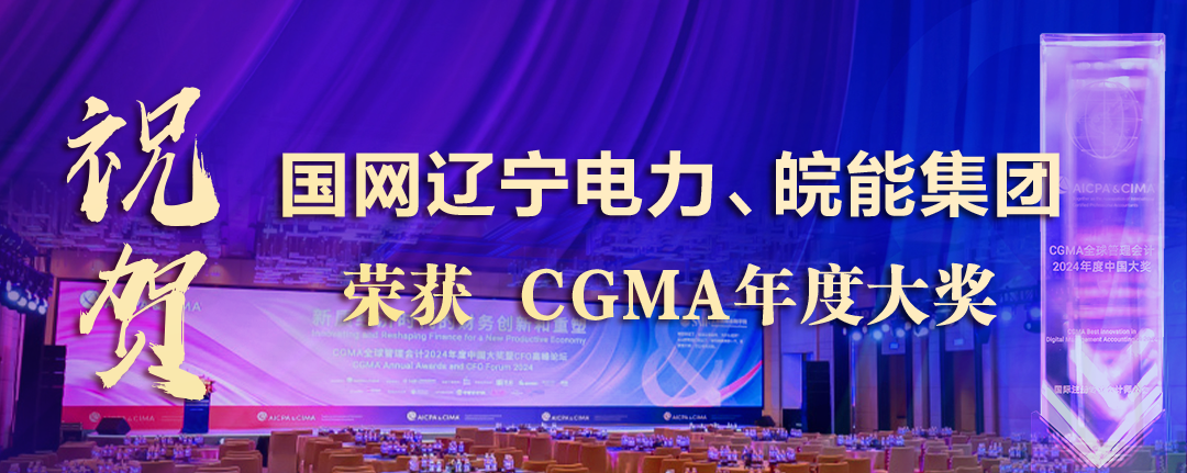 祝贺国网辽宁电力、皖能集团荣获“财界奥斯卡”CGMA年度大奖